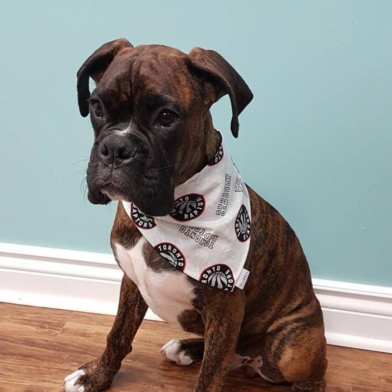 Customized Pet Bandana, Logo Dog Collar Bandana, Personalized Dog Grooming Logo