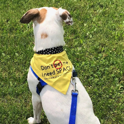 Customized Pet Bandana, Logo Dog Collar Bandana, Personalized Dog Grooming Logo