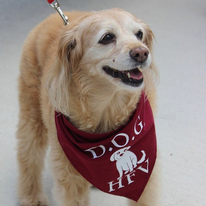 Customized Pet Bandana, Logo Dog Collar Bandana, Personalized Dog Grooming Logo